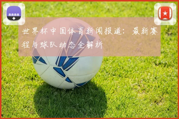 世界杯中国体育新闻报道：最新赛程与球队动态全解析